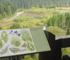 IMG_0155_800x450.jpg