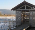 IMG_0810_800x450.jpg