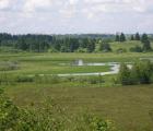 P1012675_800x600.jpg
