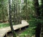 P6300032_800x600.jpg